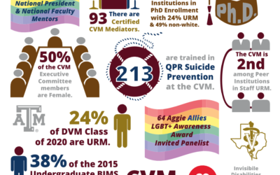 CVM Diversity Statistics One-Sheet