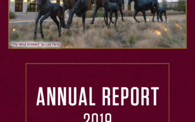 CVM 2019 Annual Report