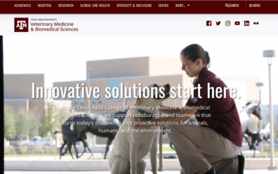 Website for Texas A&M’s Veterinary Medicine & Biomedical Sciences